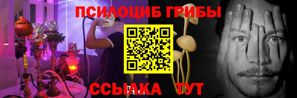 Тулун  Псилоцибиновые грибы Magic Shrooms  Вход с VPN 